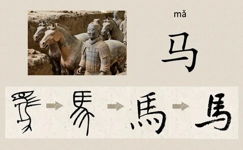 Sculture di guerrieri e cavalli nella tomba dell'imperatore Qin Shi Huang (200 a.C.), evoluzione del pittogramma "ma" di cavallo